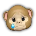 Macaco memoji 6