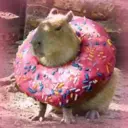 Capybara Are My Life 6