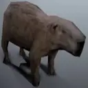 Capybara Are My Life 18