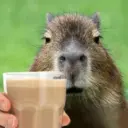 Capybara Are My Life 14