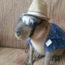 Capybara Are My Life 7