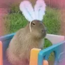 Capybara Are My Life 10
