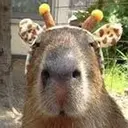 Capybara Are My Life 26