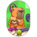 Capybara 11