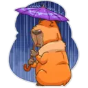 Capybara 5