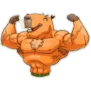 Capybara 25