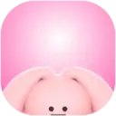 Pink Ven  Hippy Friends (M) 13