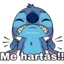 Stich 17