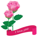I love you