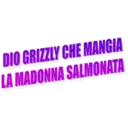 DIO GRIZZLY CHE MANGIA
LA MADONNA SALMONATA