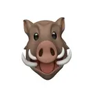 Memoji de javali 5