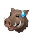 Memoji de javali 15