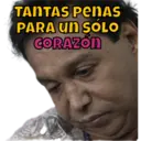 TANTAS PENAS PARA UN SÓLO CORAZÓN