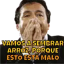 VAMOS A SEMBRAR ARROZ, PORQUE ESTO ESTA MALO