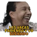 LAS VACAS PARIENDO Y YO BEBIENDO