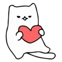Gatito blanco mov 13