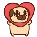 Pug Dog mov 10
