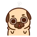 Pug Dog mov 18