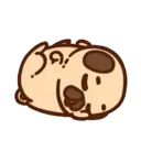 Pug Dog mov 22