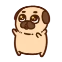 Pug Dog mov 20