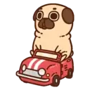 Pug Dog mov 12