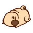 Pug Dog mov 15