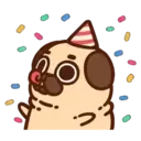 Pug Dog mov 28