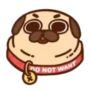 Pug Dog mov 14