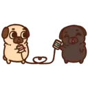 Pug Dog mov 27