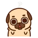Pug Dog mov 9