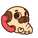 Pug Dog mov 23