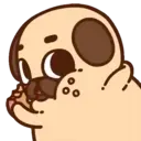 Pug Dog mov 17