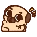 Pug Dog mov 6