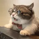 animales 30
