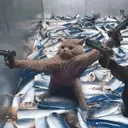 animales 19