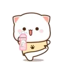 MOCHIS CAT Extra"Q" MOV 10