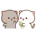 MOCHIS CAT Extra"Q" MOV 8
