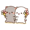 MOCHIS CAT Extra"Q" MOV 2