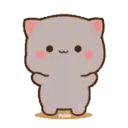MOCHIS CAT Extra"Q" MOV 11