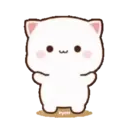 MOCHIS CAT Extra"Q" MOV 23
