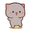 MOCHIS CAT Extra"Q" MOV 16