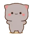 MOCHIS CAT Extra"Q" MOV 19
