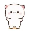 MOCHIS CAT Extra"Q" MOV 24