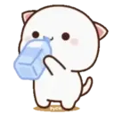 MOCHIS CAT Extra"Q" MOV 22