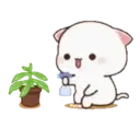 MOCHIS CAT Extra"Q" MOV 5