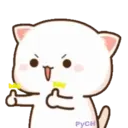 MOCHIS CAT Extra"Q" MOV 21