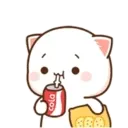 MOCHIS CAT Extra"Q" MOV 17