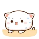 MOCHIS CAT Extra"Q" MOV 4