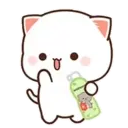 MOCHIS CAT Extra"Q" MOV 13