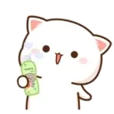 MOCHIS CAT Extra"Q" MOV 20